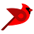 Logo Bird.Money