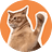 Logo CatSlap