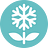 Logo SnowBlossom