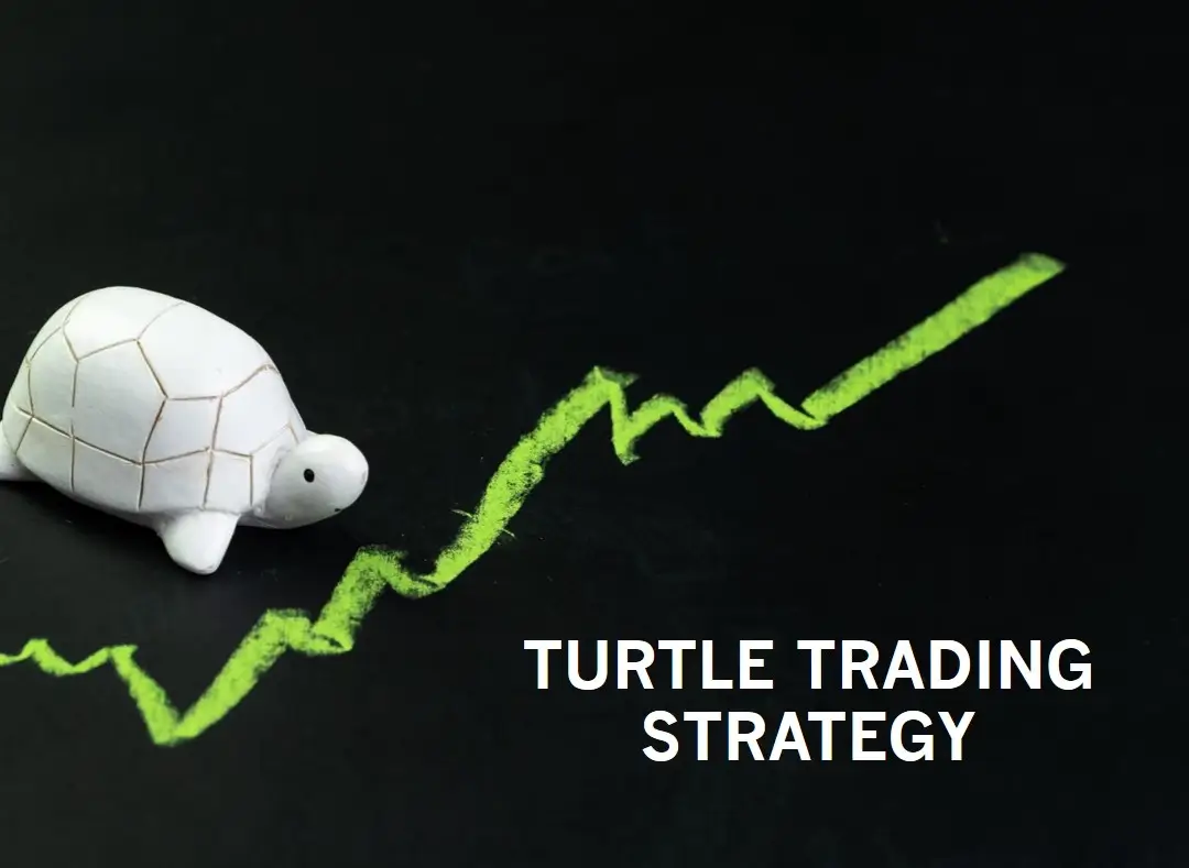 https://altrady-strapi.s3.eu-west-1.amazonaws.com/Turtle_Trading_Strategy_History_of_Turtle_Trading_60c6de6c43.webp
